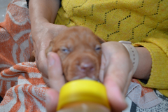 on-commence-a-ouvrir-les-yeux