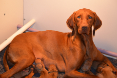 0-Bonjour-je-vais-bien