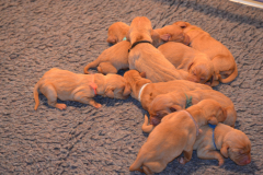 2__A-1-jour-enfin-tous-ensemble