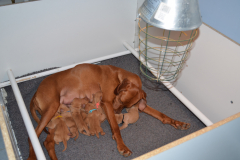 8-Trouves-toi-une-place