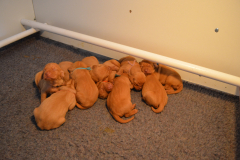 Je-trouve-pas-ma-place