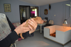 Male-Gris1