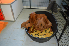 10_Penurie-de-logement