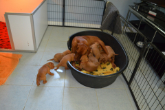 9_Penurie-de-logement