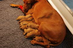 IMG_20230922_194205409