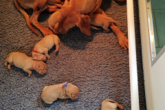 11-Nous-sommes-nettoyes-