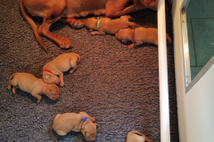 Nous-sommes-surveilles-de-pres-par-maman