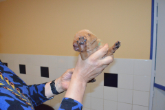 Fem.-Verte-Pas-de-photos