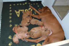 G2-Les-Places-.-Apres-le-combat