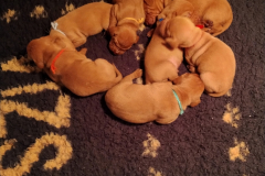 G3-Les-Places-.Tous-en-rang-doignons