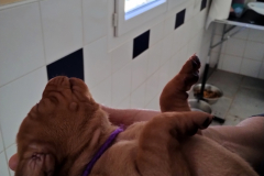 IMG_20231005_130726931_HDR