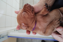 IMG_20231005_130731528