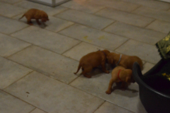 Prem.-Bizarre-cet-endroit