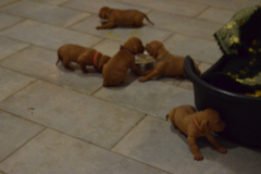 Prem.-Comment-tu-trouves-toi