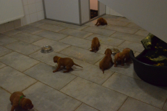 Premiere-Sortie-et-bouillie1