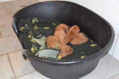 02-On-a-squatte-la-banniere-a-maman