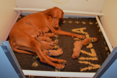 1-Only-You-P3-Naissance