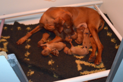 10-On-a-du-mal-a-trouver-une-place