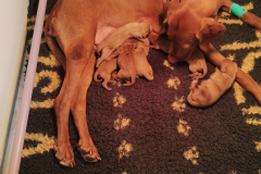 12-cest-lheure-du-nettoyage