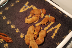 14-Vous-pouvez-dormir-maintenant