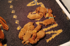 2-Presque-bien-range