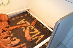 8-Deux-en-Vadrouille