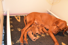 9-Enfin-calmes-pour-teter