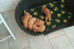 Nous-etions-de-la-premier-ere-fournee