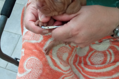 nous-somme-bien-calme