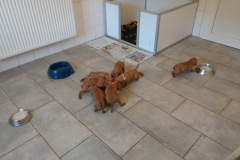 Fem.-Verte-Je-suis-tooute-seule