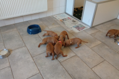 La-curiosite-lemporte