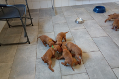 ya-la-meme-chose-ici