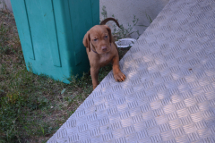 02-TITO