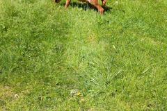 Encore-une-petite-semaine