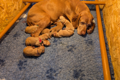 PXL_20260422_072640636