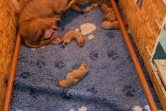 PXL_20260424_153858992.MP_