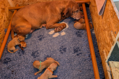 PXL_20260424_153923495.MP_