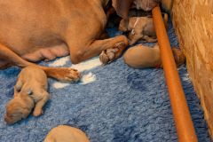 PXL_20260424_153942727.MP_