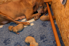 PXL_20260424_153945395.MP_