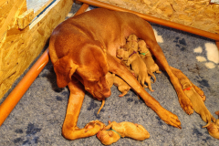 Jour-1-Ils-sont-tous-de-moi