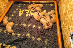 Jour-5-on-est-mieux-en-dehors