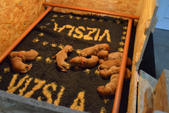 Jour-7-jai-perdu-un-frangin