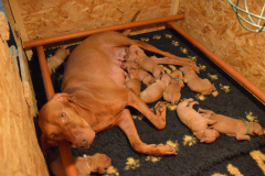 Jour-7-les-goulus-nous-en-ont-laisse