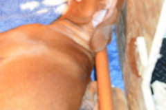 Cache-on-me-trouvera-pas