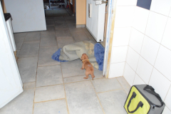 Moi-je-suis-curieuse