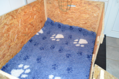 Nous-sommes-des-grands-plus-de-barres