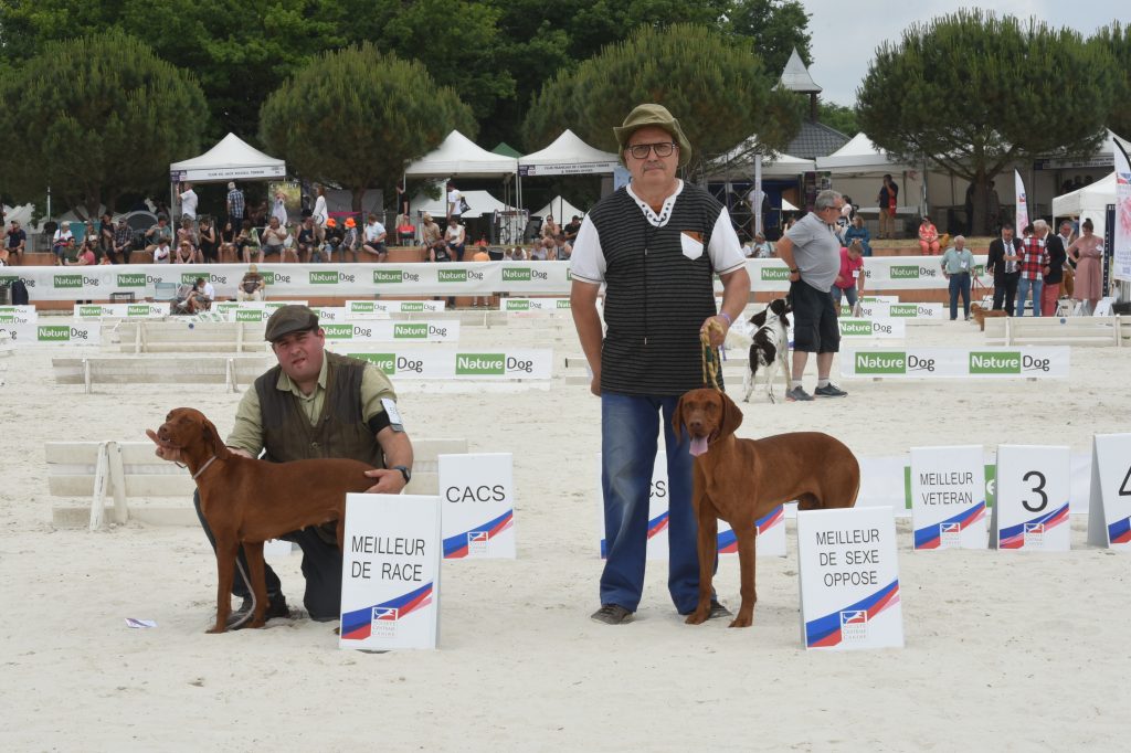 GAME FAIR Résultat Grand Prix chien de chasse