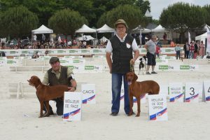 GAME FAIR Résultat Grand Prix chien de chasse