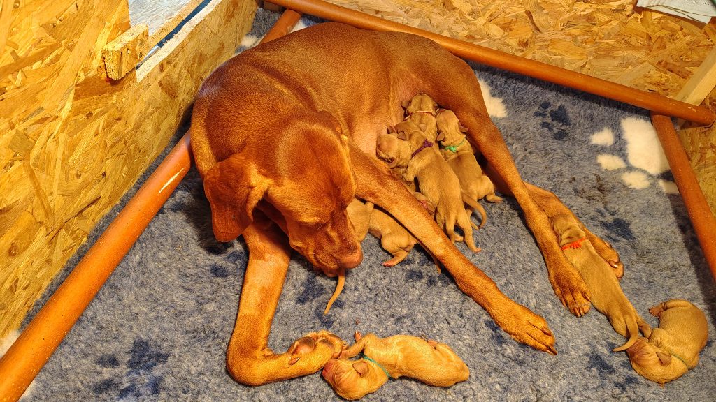 Jour 1, Ils sont tous de moi